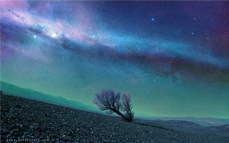 Lonely Tree in Desert — Purple