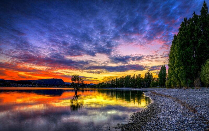 Lonely Tree in Lake — Blue, Dramatic, Sunset