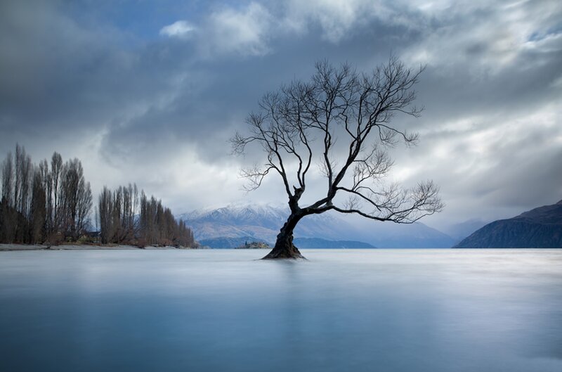 Lonely Tree in Lake — Blue, Dramatic