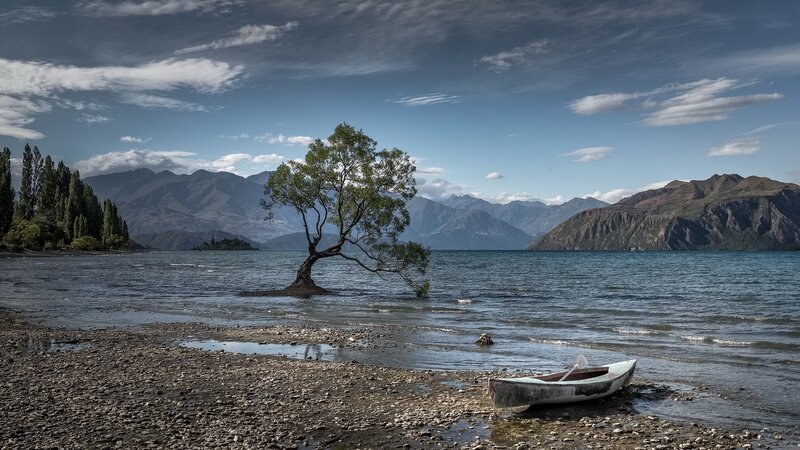 Lonely Tree in Lake — Blue, Serene, Afternoon, Photograph, Boat