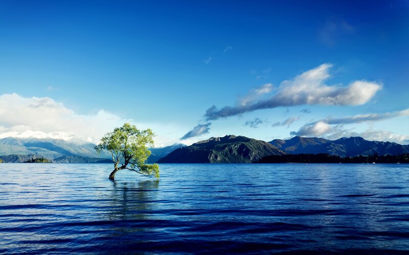 Lonely Tree in Lake — Blue, Serene, Afternoon, Photograph, Mountains, Clouds