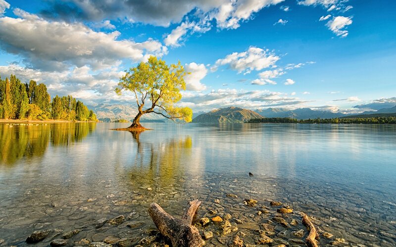 Lonely Tree in Lake — Blue, Serene, Afternoon, Photograph, Mountains