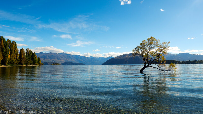 Lonely Tree in Lake — Blue, Serene, Afternoon, Photograph, Mountains, Trees