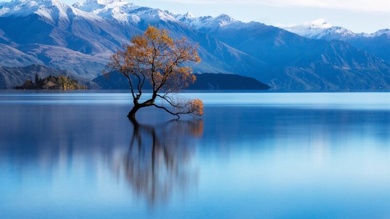 Lonely Tree in Lake — Blue, Serene, Autumn, Photograph, Mountains