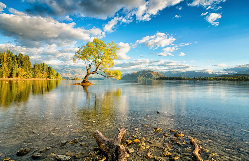 Lonely Tree in Lake — Blue, Serene, Morning, Photograph, Mountains, Clouds