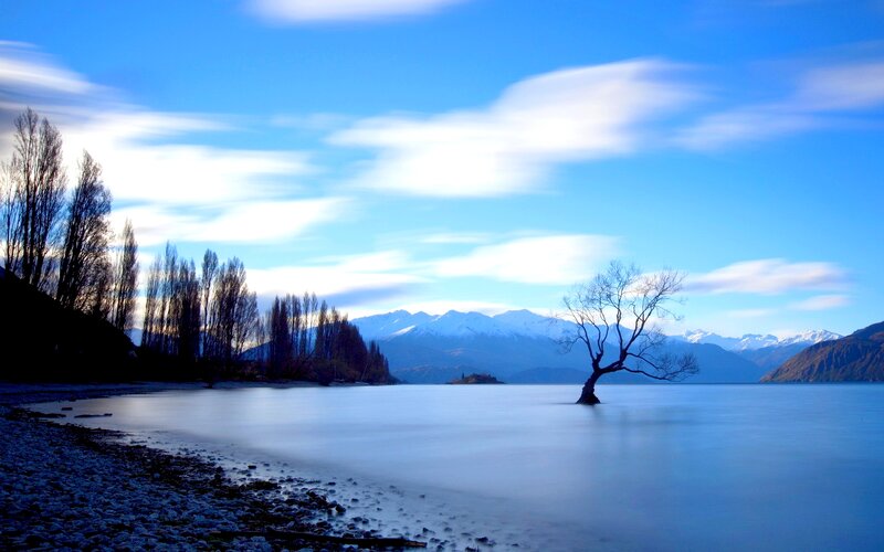 Lonely Tree in Lake — Blue, Serene, Morning