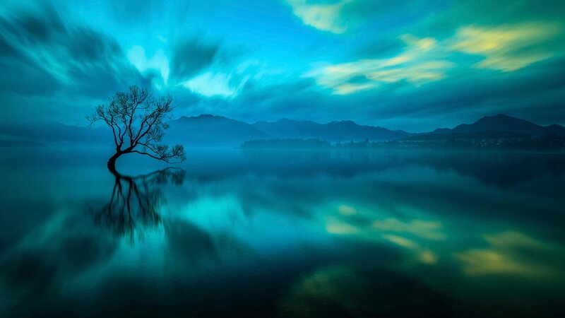 Lonely Tree in Lake — Blue, Serene, Night