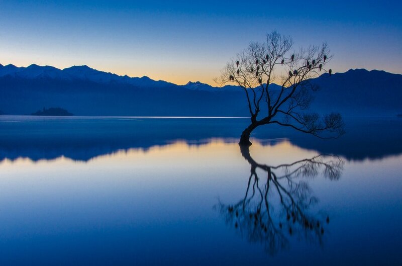 Lonely Tree in Lake — Blue, Serene, Sunset, Photograph, Mountains, Birds