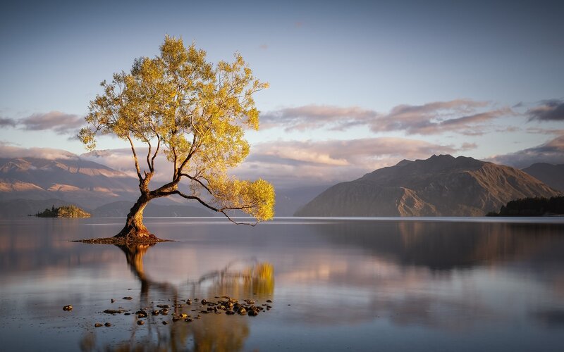Lonely Tree in Lake — Blue, Serene, Sunset, Photograph, Mountains, Reflection