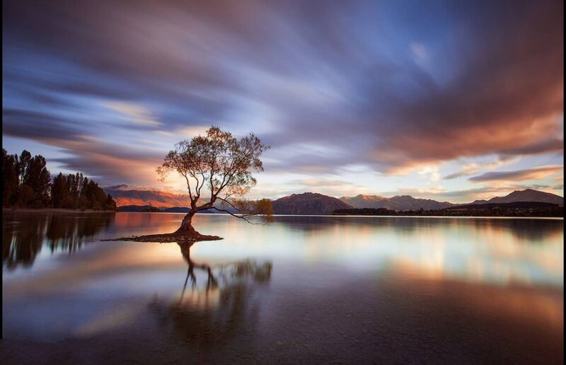 Lonely Tree in Lake — Blue, Serene, Sunset, Photograph