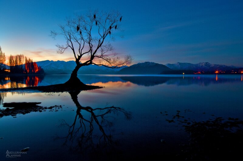 Lonely Tree in Lake — Blue, Serene, Sunset