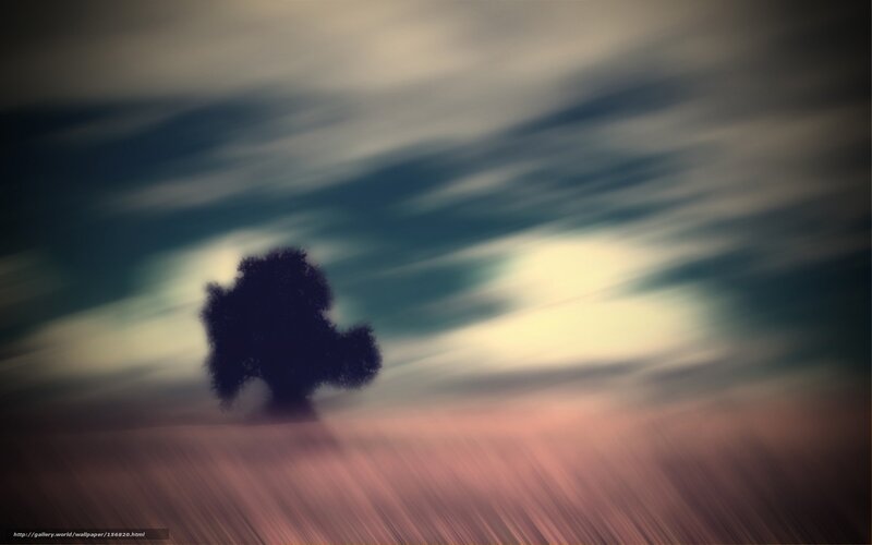 lonely tree in motion