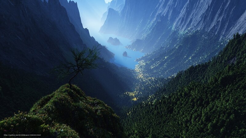 Lonely Tree in Mountain Valley — Blue