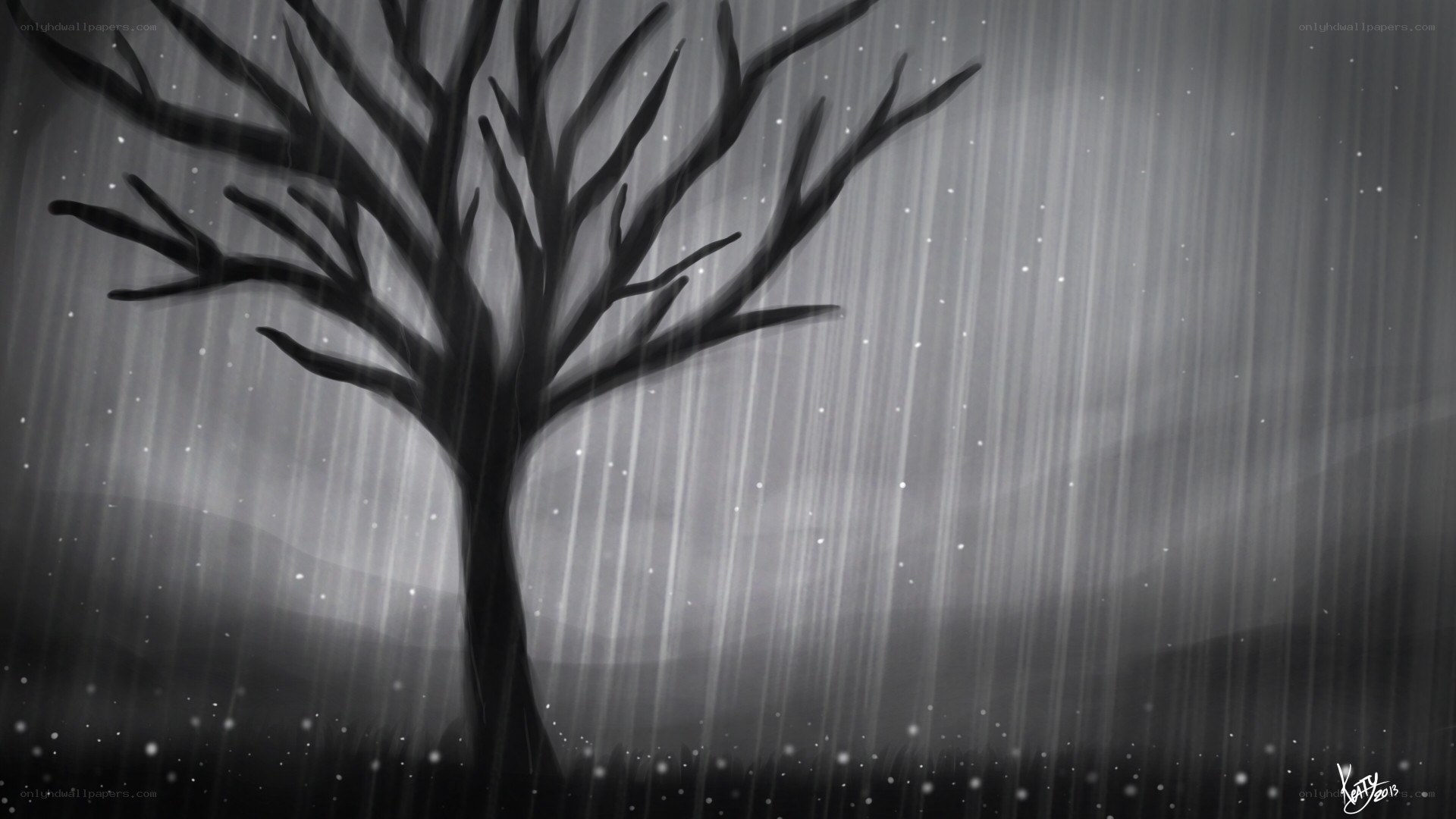 lonely tree in rain