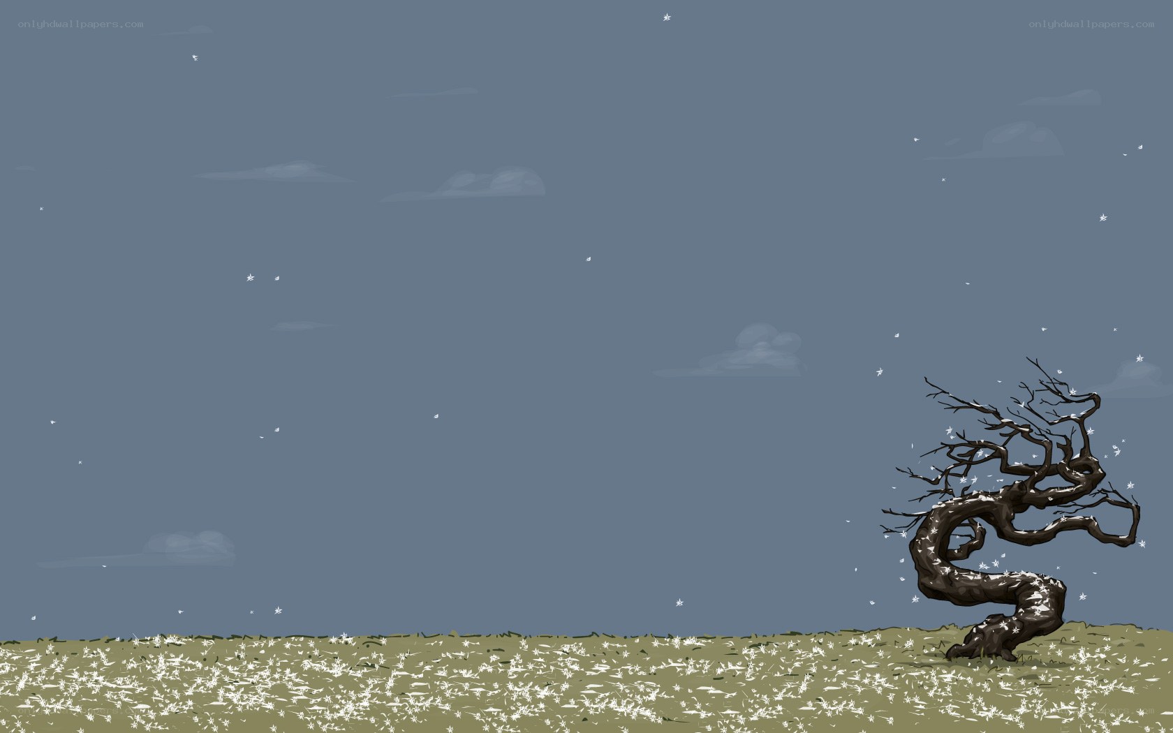 lonely tree in snowy field