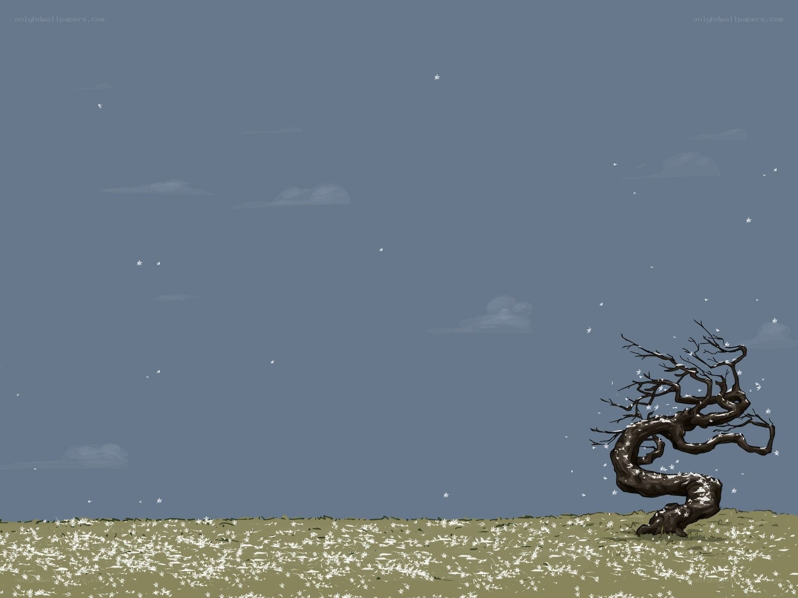 lonely tree in snowy field