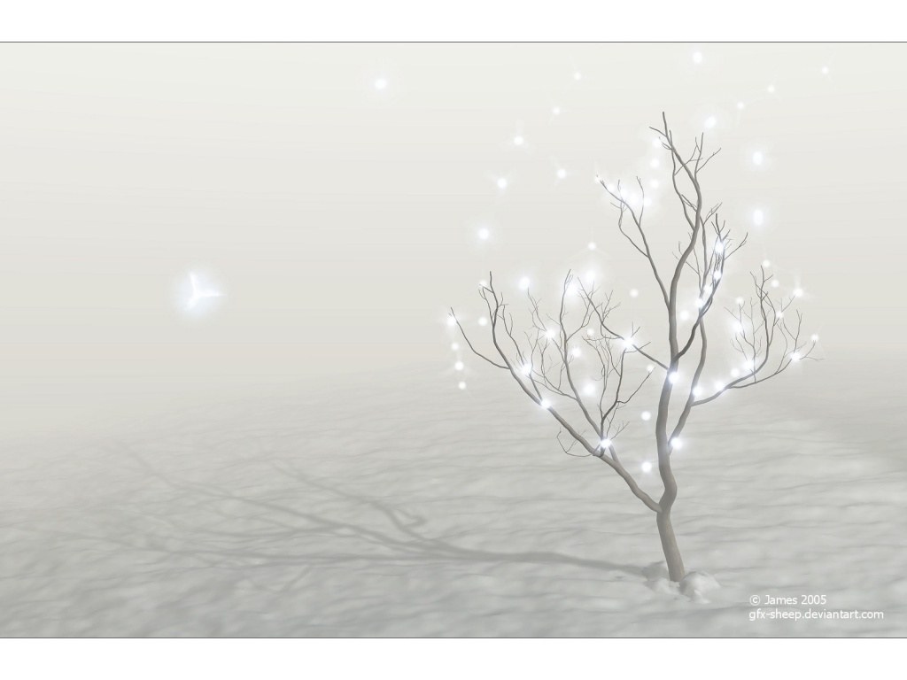 lonely tree in snowy landscape