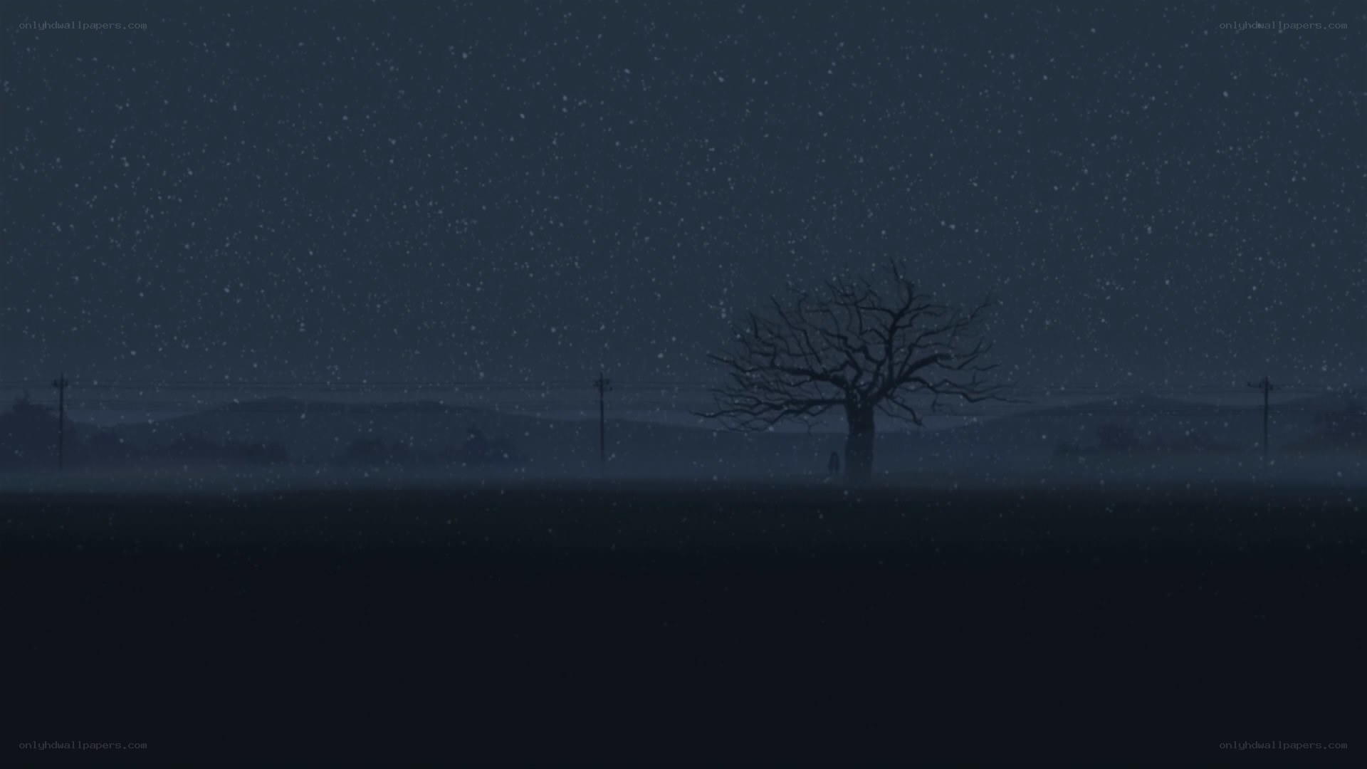 lonely tree in snowy night