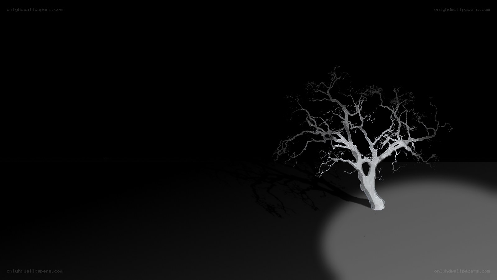 lonely tree in spotlight