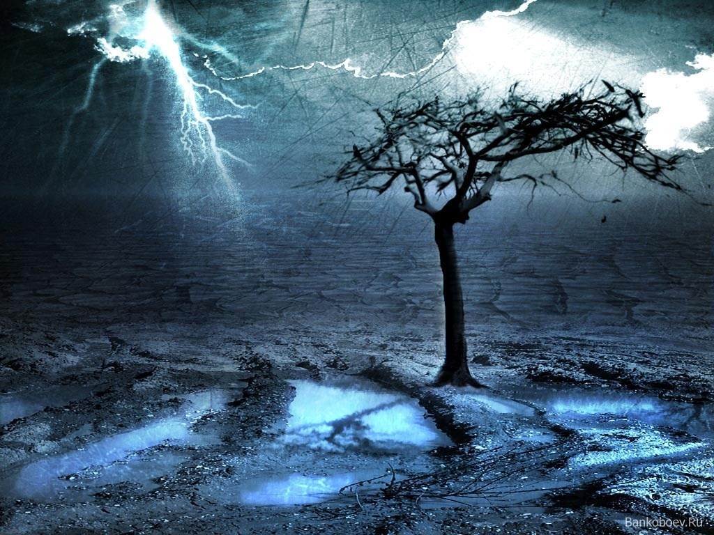 lonely tree in storm