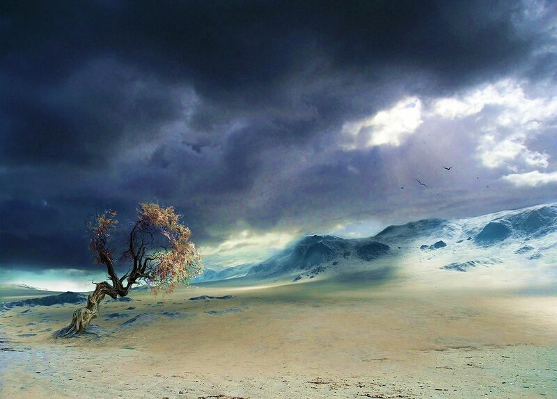 lonely tree in stormy landscape