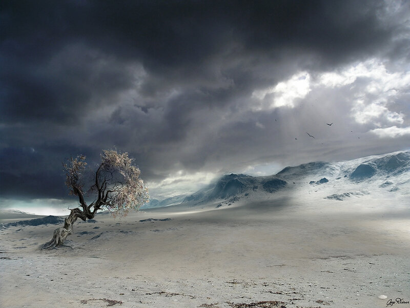 lonely tree in stormy landscape