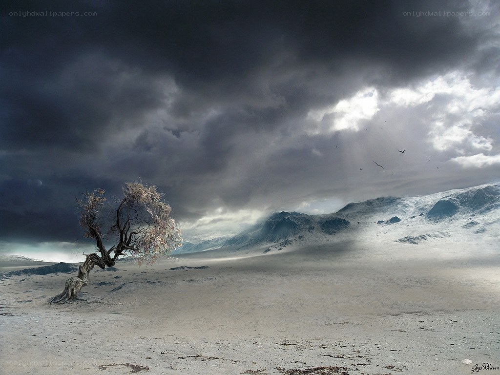 lonely tree in stormy landscape