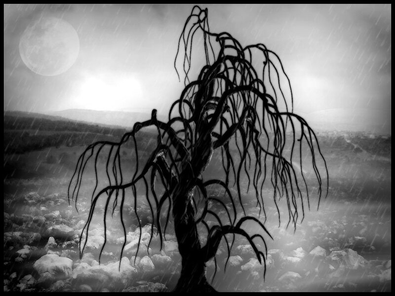 lonely tree in stormy night