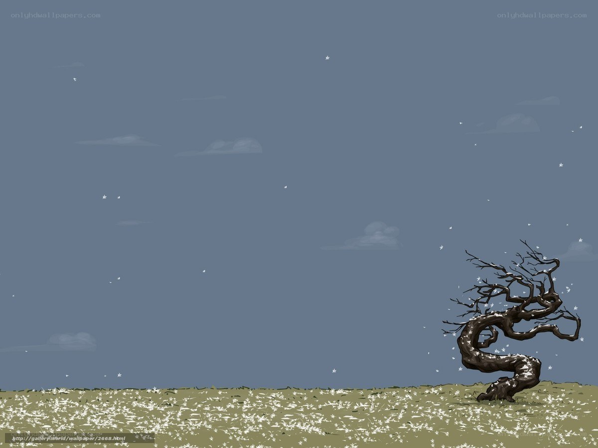 lonely tree in winter field