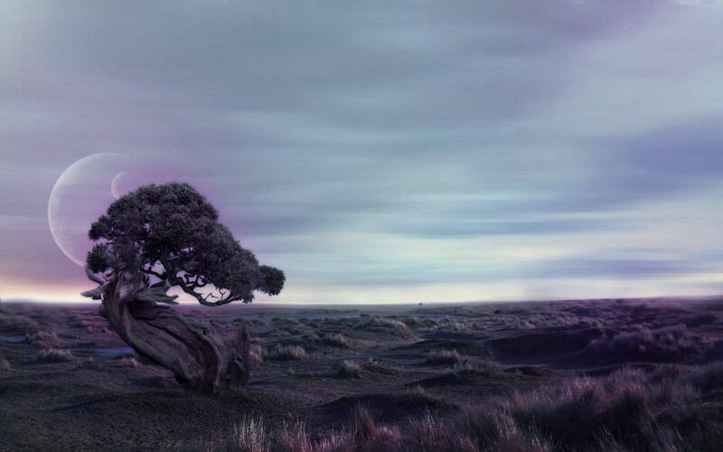 lonely tree on alien planet