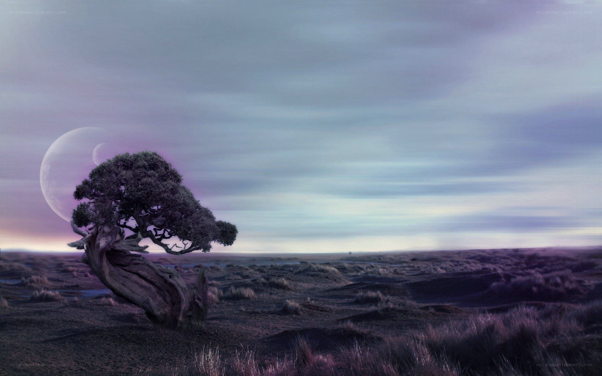 lonely tree on alien planet