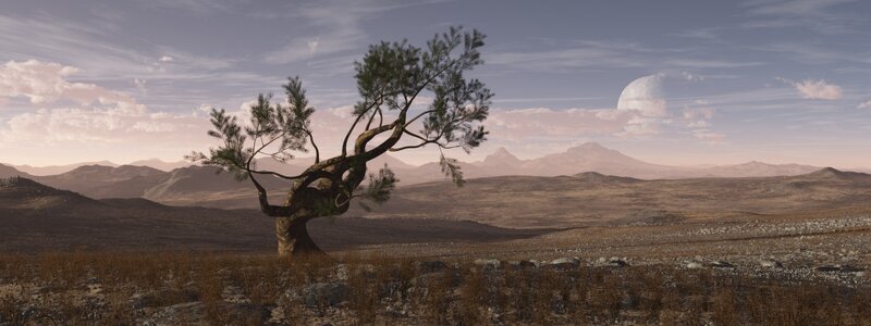 lonely tree on alien planet