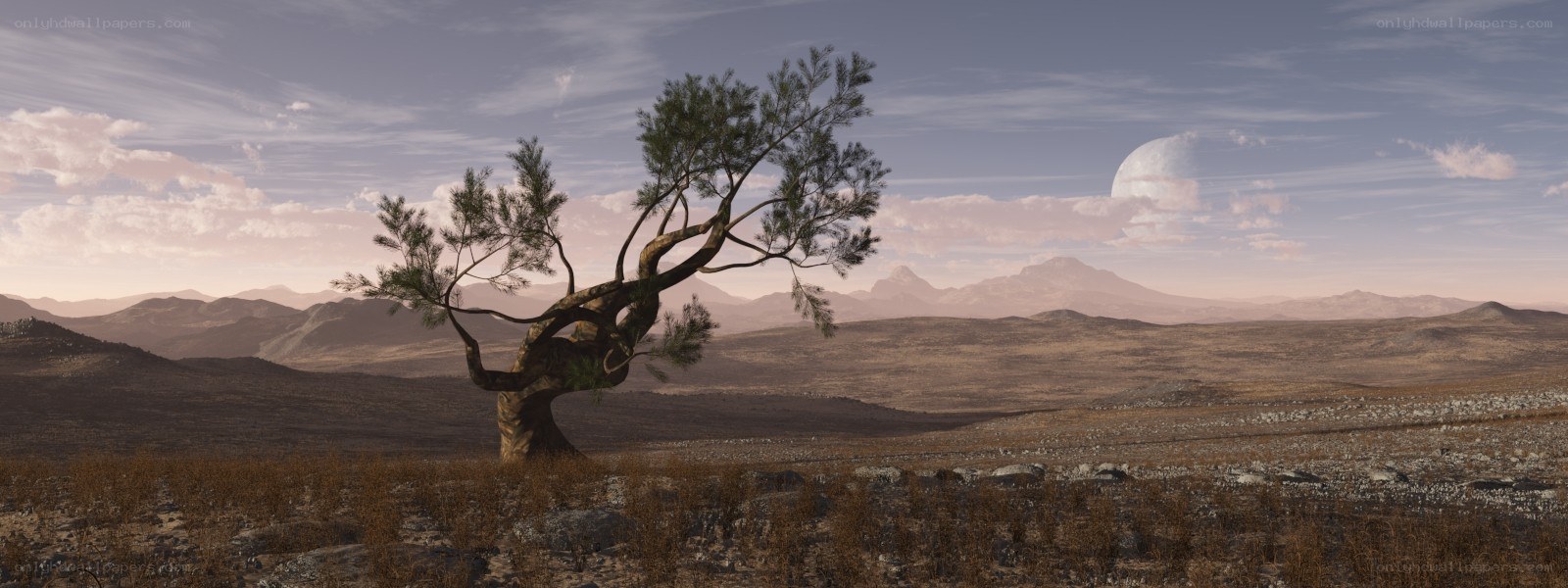 lonely tree on alien planet