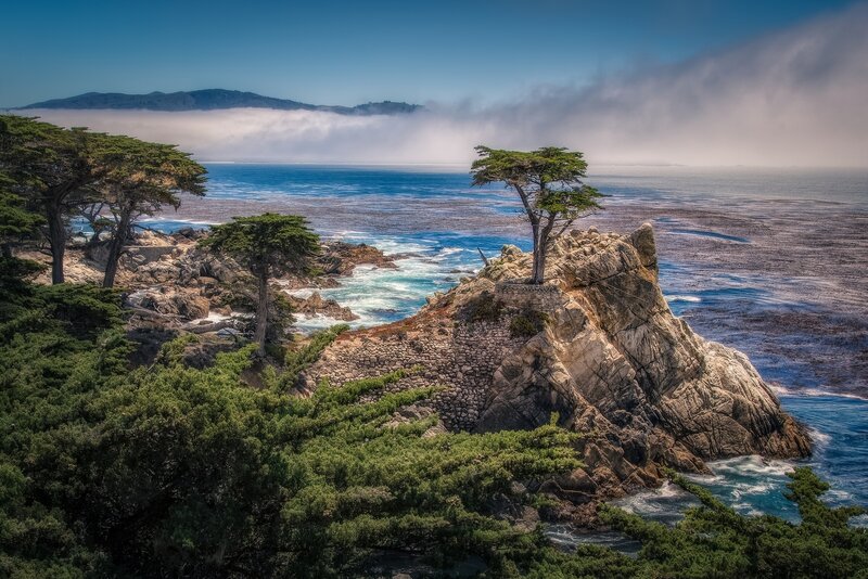 Lonely Tree on Cliff — Blue, Serene, Morning