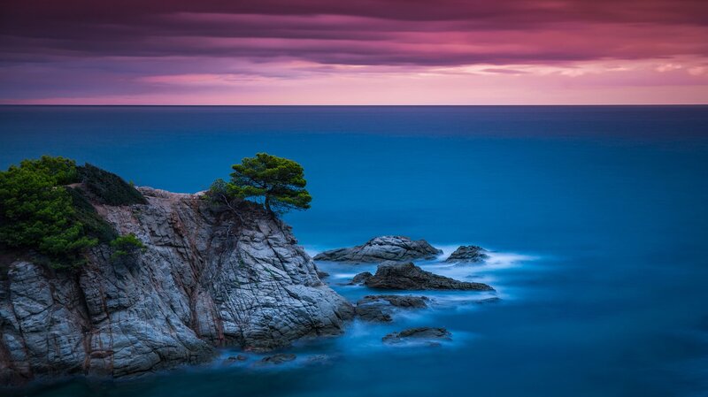 Lonely Tree on Cliff — Blue, Serene, Sunset, Photograph, Sea