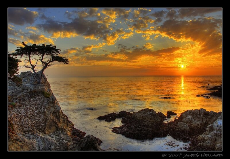 Lonely Tree on Cliff