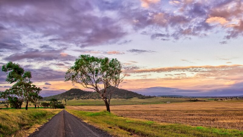 Lonely Tree on Dirt Road