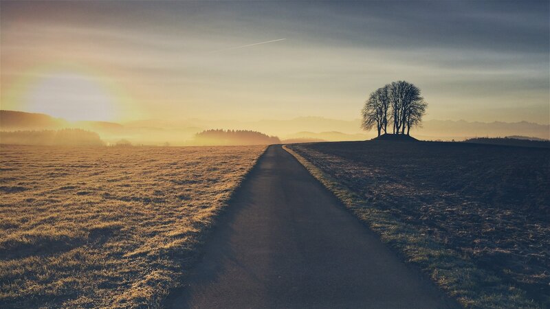 Lonely Tree on Hill