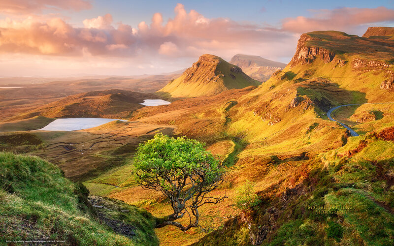 Lonely Tree on Hillside — Green, Serene, Sunset, Photograph