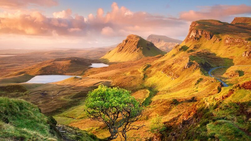 Lonely Tree on Hillside — Green, Serene, Sunset