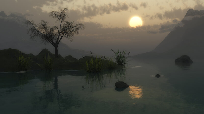 Lonely Tree on Island