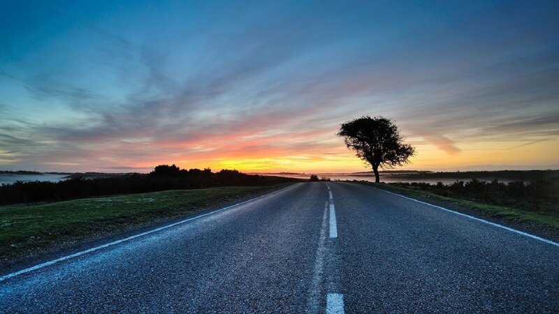 Lonely Tree on Road — Blue