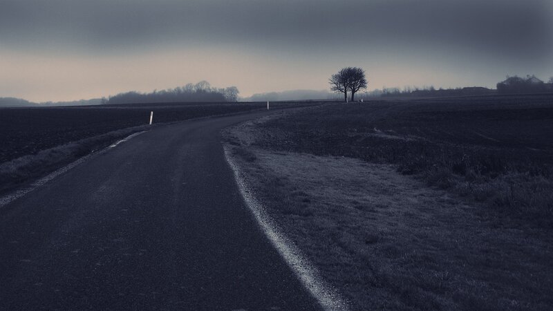 Lonely Tree on Road — Gray