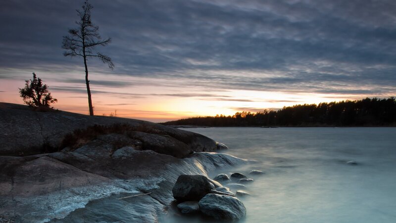 Lonely Tree on Rocky Shore — Gray, Serene