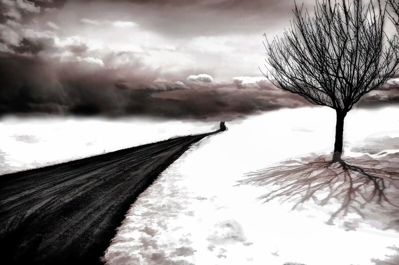 Lonely Tree on Snowy Road — Black