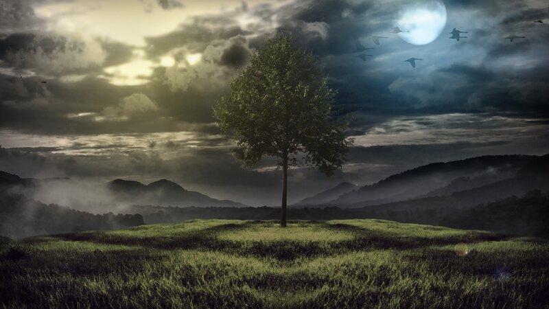 lonely tree under moonlit sky