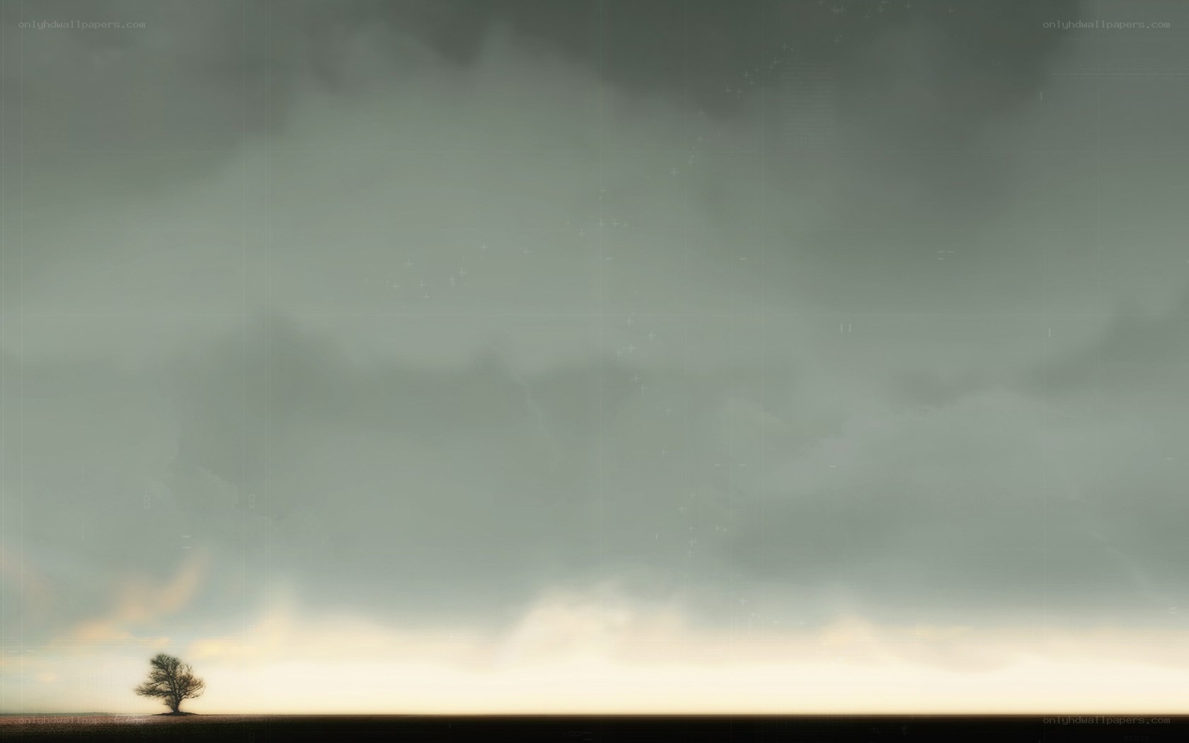 lonely tree under stormy sky