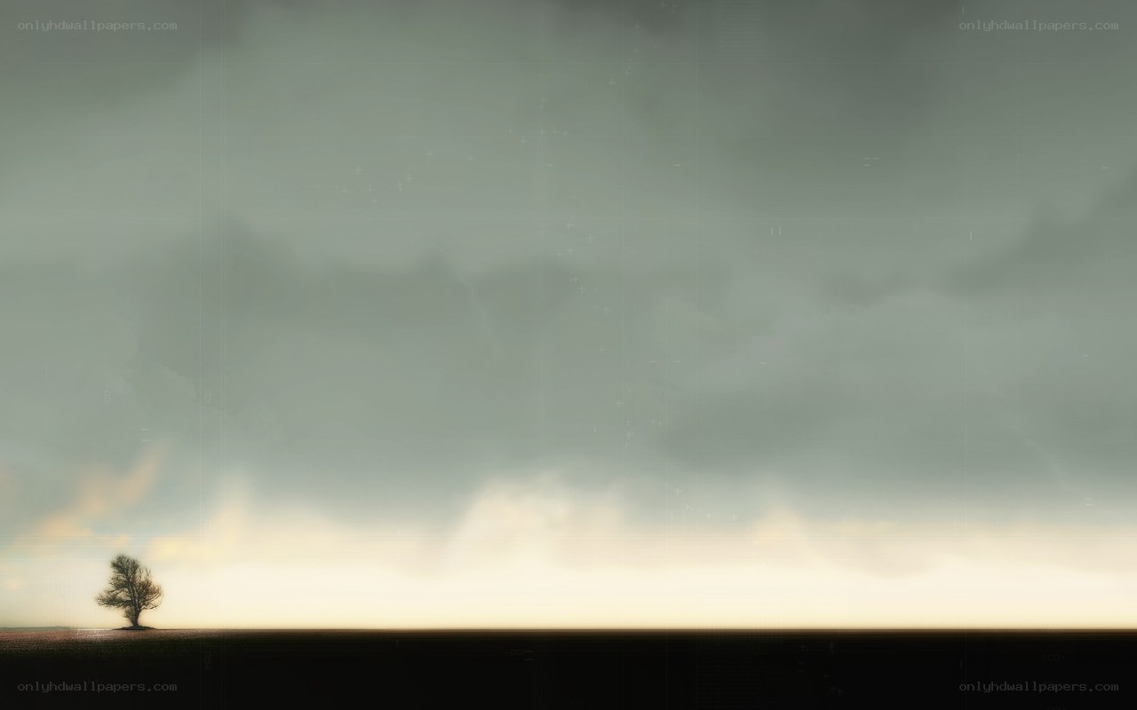 lonely tree under stormy sky