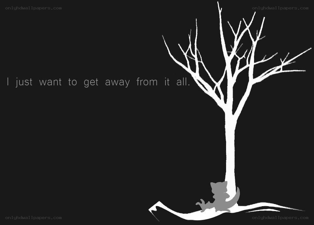 lonely tree with cat