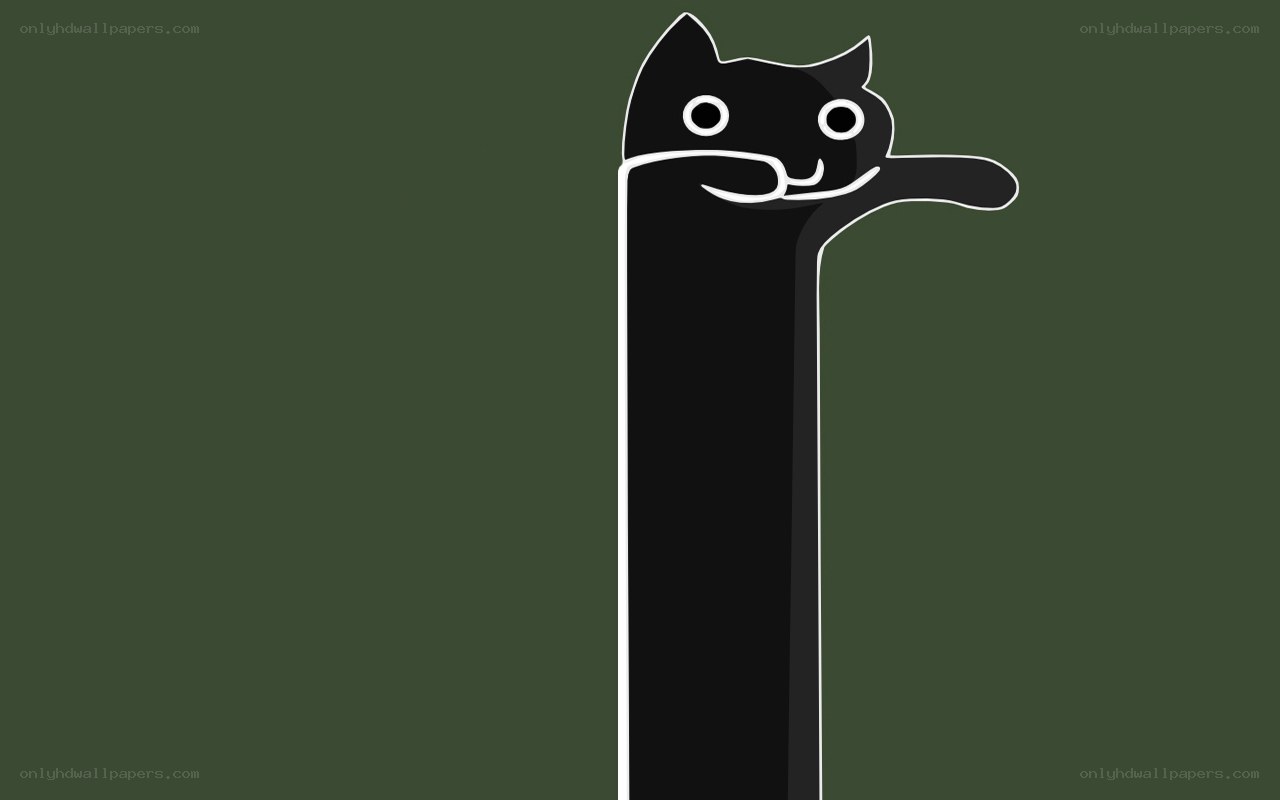 long black cat character